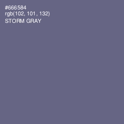 #666584 - Storm Gray Color Image