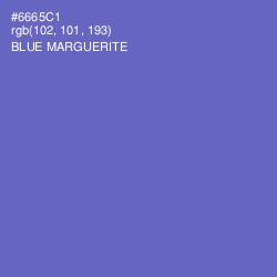 #6665C1 - Blue Marguerite Color Image