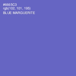 #6665C3 - Blue Marguerite Color Image