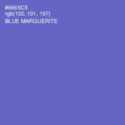 #6665C5 - Blue Marguerite Color Image