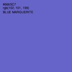 #6665C7 - Blue Marguerite Color Image