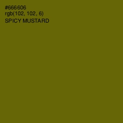 #666606 - Spicy Mustard Color Image