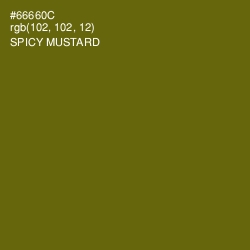 #66660C - Spicy Mustard Color Image
