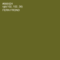 #666624 - Fern Frond Color Image