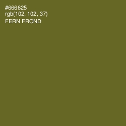 #666625 - Fern Frond Color Image