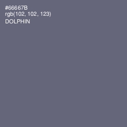 #66667B - Dolphin Color Image