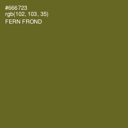 #666723 - Fern Frond Color Image
