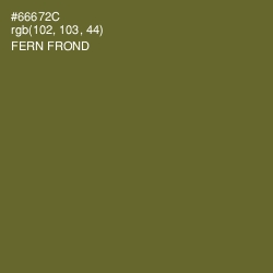 #66672C - Fern Frond Color Image