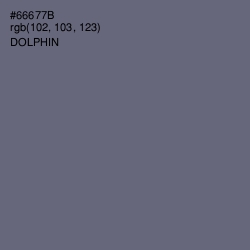 #66677B - Dolphin Color Image