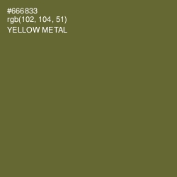 #666833 - Yellow Metal Color Image
