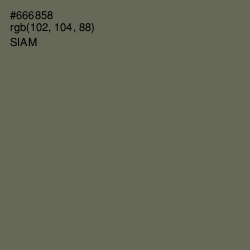 #666858 - Siam Color Image