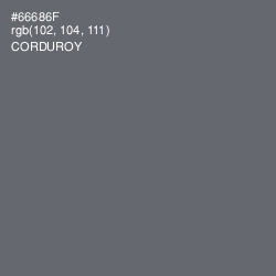 #66686F - Corduroy Color Image