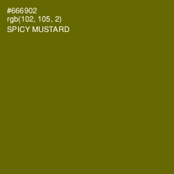 #666902 - Spicy Mustard Color Image
