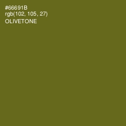 #66691B - Olivetone Color Image