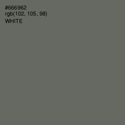 #666962 - Ironside Gray Color Image