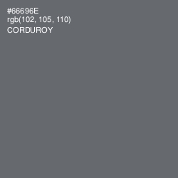 #66696E - Corduroy Color Image