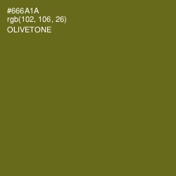 #666A1A - Olivetone Color Image