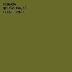 #666A2A - Fern Frond Color Image