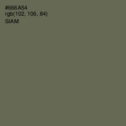 #666A54 - Siam Color Image