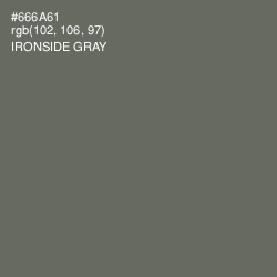 #666A61 - Ironside Gray Color Image