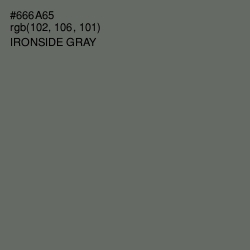 #666A65 - Ironside Gray Color Image