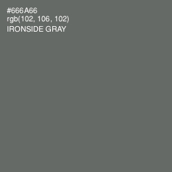 #666A66 - Ironside Gray Color Image