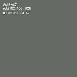 #666A67 - Ironside Gray Color Image