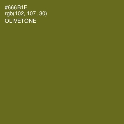 #666B1E - Olivetone Color Image