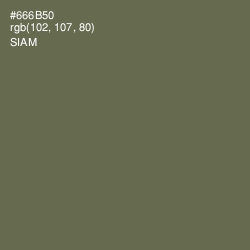 #666B50 - Siam Color Image