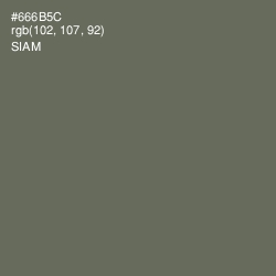 #666B5C - Siam Color Image