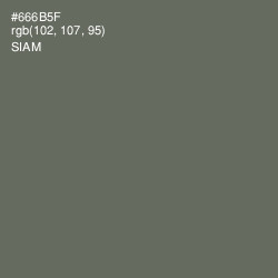 #666B5F - Siam Color Image