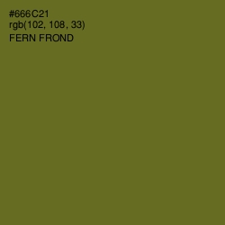 #666C21 - Fern Frond Color Image