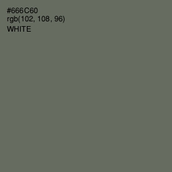 #666C60 - Ironside Gray Color Image