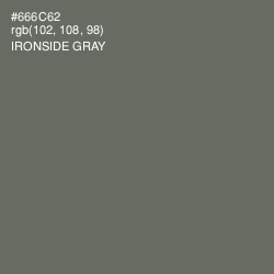 #666C62 - Ironside Gray Color Image