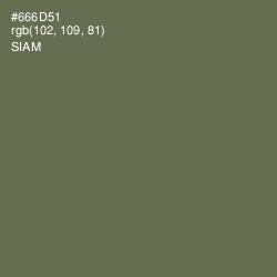 #666D51 - Siam Color Image