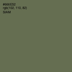 #666E52 - Siam Color Image