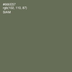 #666E57 - Siam Color Image