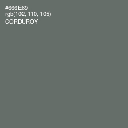 #666E69 - Corduroy Color Image