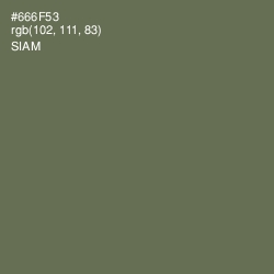 #666F53 - Siam Color Image