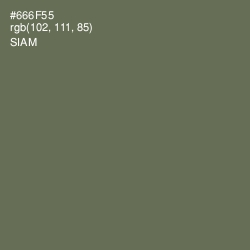 #666F55 - Siam Color Image