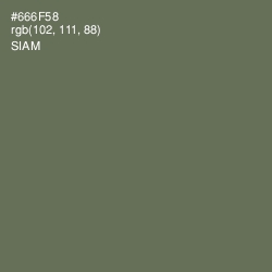 #666F58 - Siam Color Image