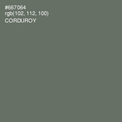 #667064 - Corduroy Color Image
