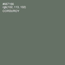 #667166 - Corduroy Color Image