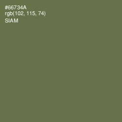 #66734A - Siam Color Image