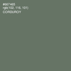 #667465 - Corduroy Color Image