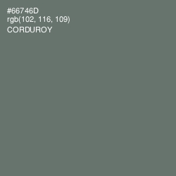 #66746D - Corduroy Color Image