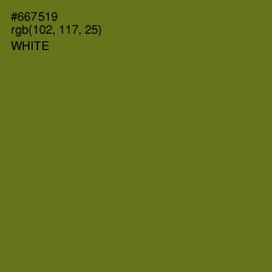 #667519 - Olivetone Color Image