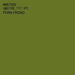 #667525 - Fern Frond Color Image