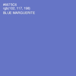 #6675C6 - Blue Marguerite Color Image