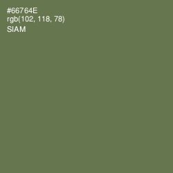 #66764E - Siam Color Image